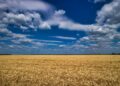 Ukraine Is Not Yet in the EU, but It Is Already Setting Tough Conditions for... Its Membership