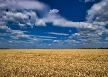 Ukraine Is Not Yet in the EU, but It Is Already Setting Tough Conditions for... Its Membership