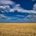 Ukraine Is Not Yet in the EU, but It Is Already Setting Tough Conditions for... Its Membership
